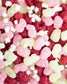 Wellibites Candy Elderberry and Raspberry